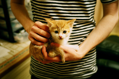 2026世界杯之夜，当拉文成为绿茵场上的绝对主宰，世界为他屏息