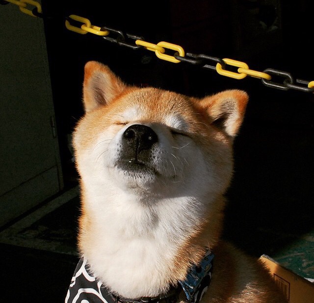 新西兰收割德国，皮克成为关键先生，一场颠覆预期的胜利如何炼成？