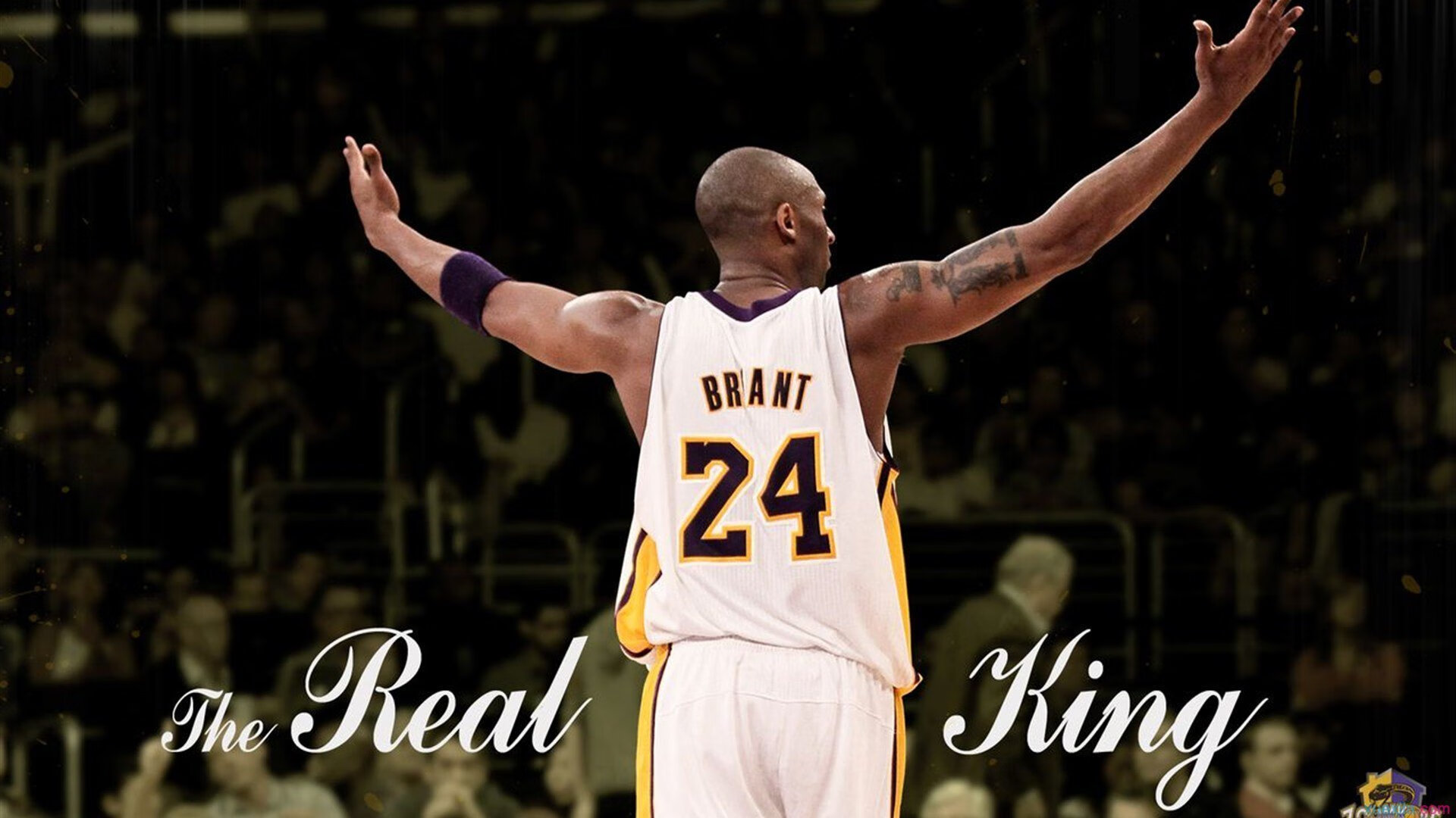 当意甲焦点战撞上鹈鹕轻取国王，一场美丽的张冠李戴，折射出球迷的纯粹热爱