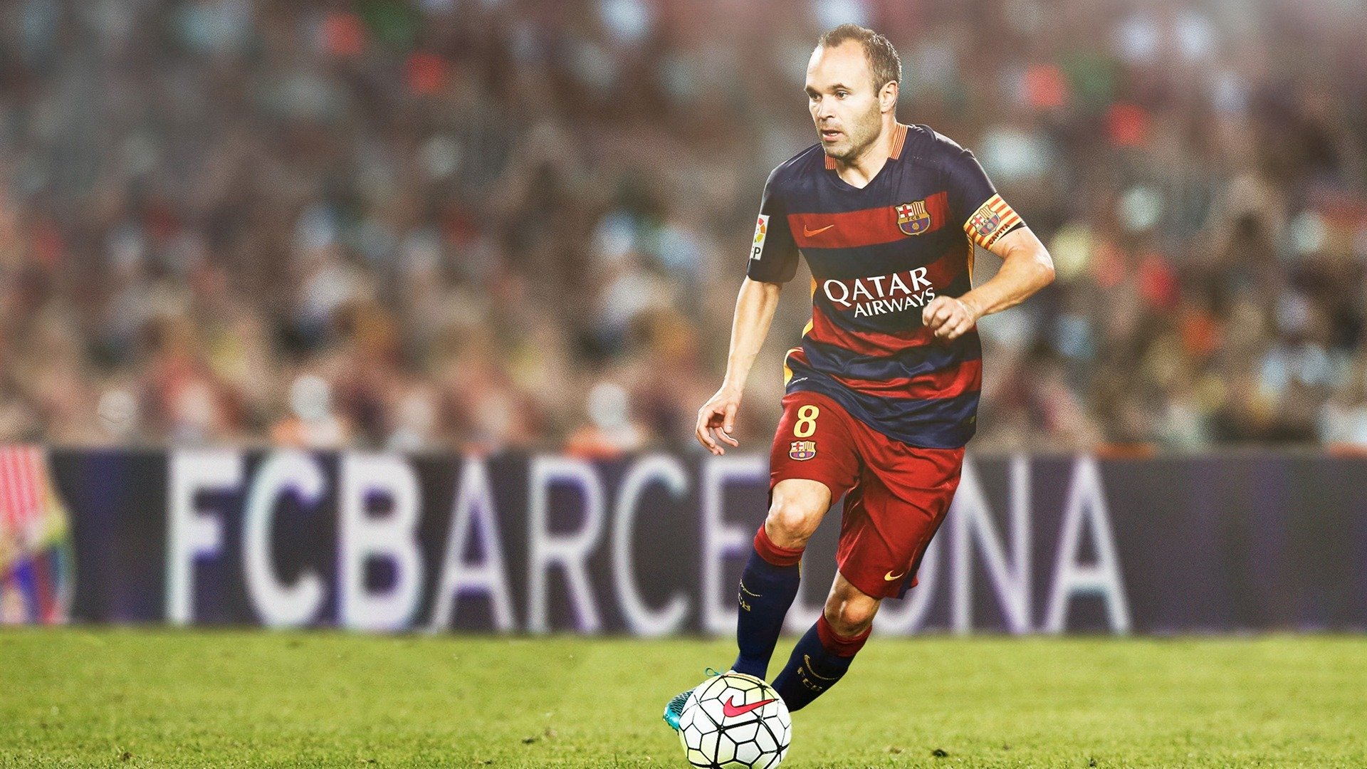 霍勒迪统治攻防!黄蜂力克猛龙,全场最佳毫无悬念