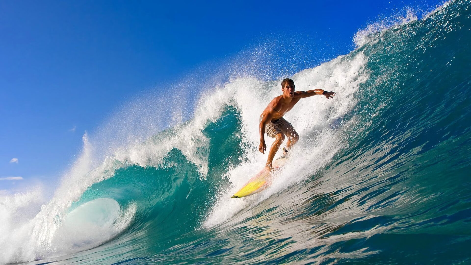 焦点之战复盘|凯塞多一役封神,当隐形屏障成为全场主宰